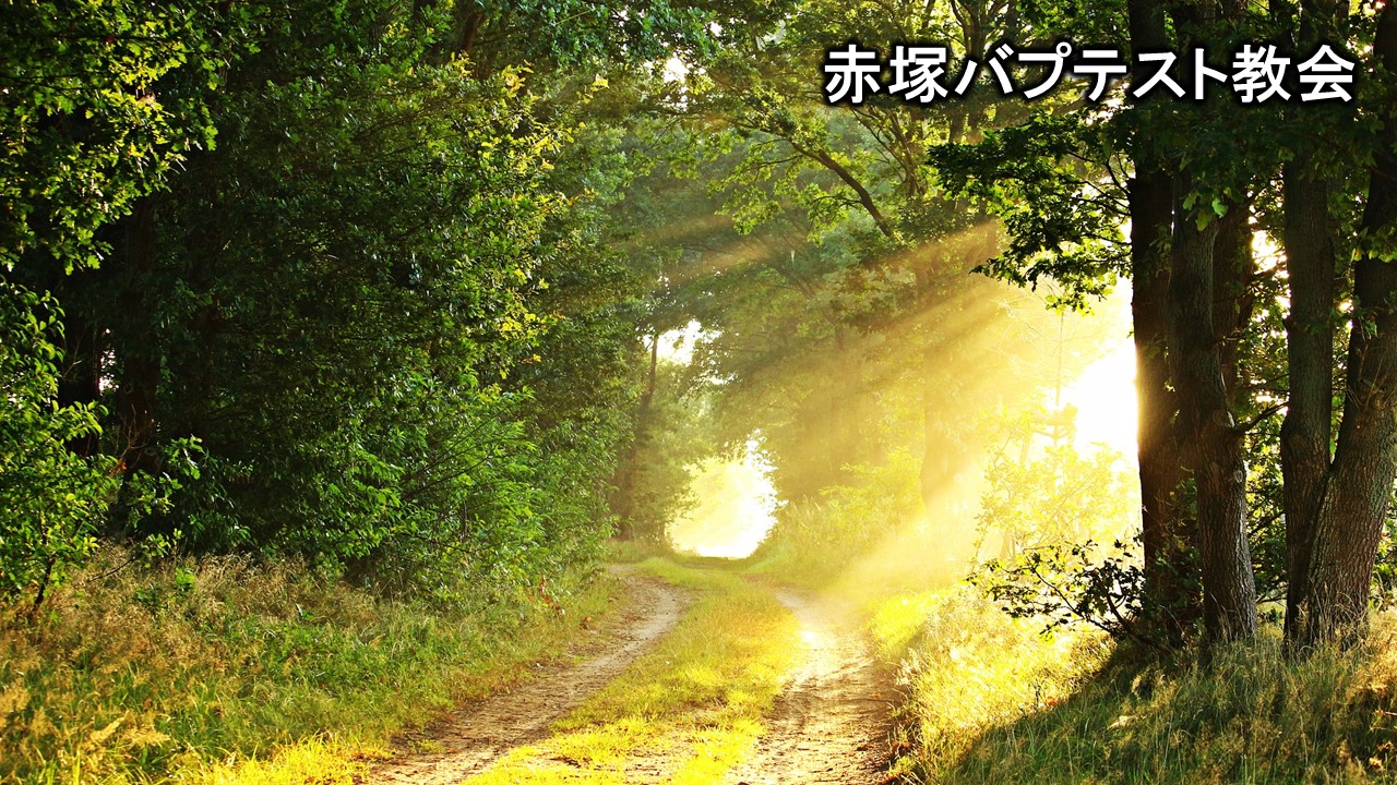 【礼拝説教】2022年9月25日「逃れる道を備えてくださる神」 - 赤塚バプテスト教会