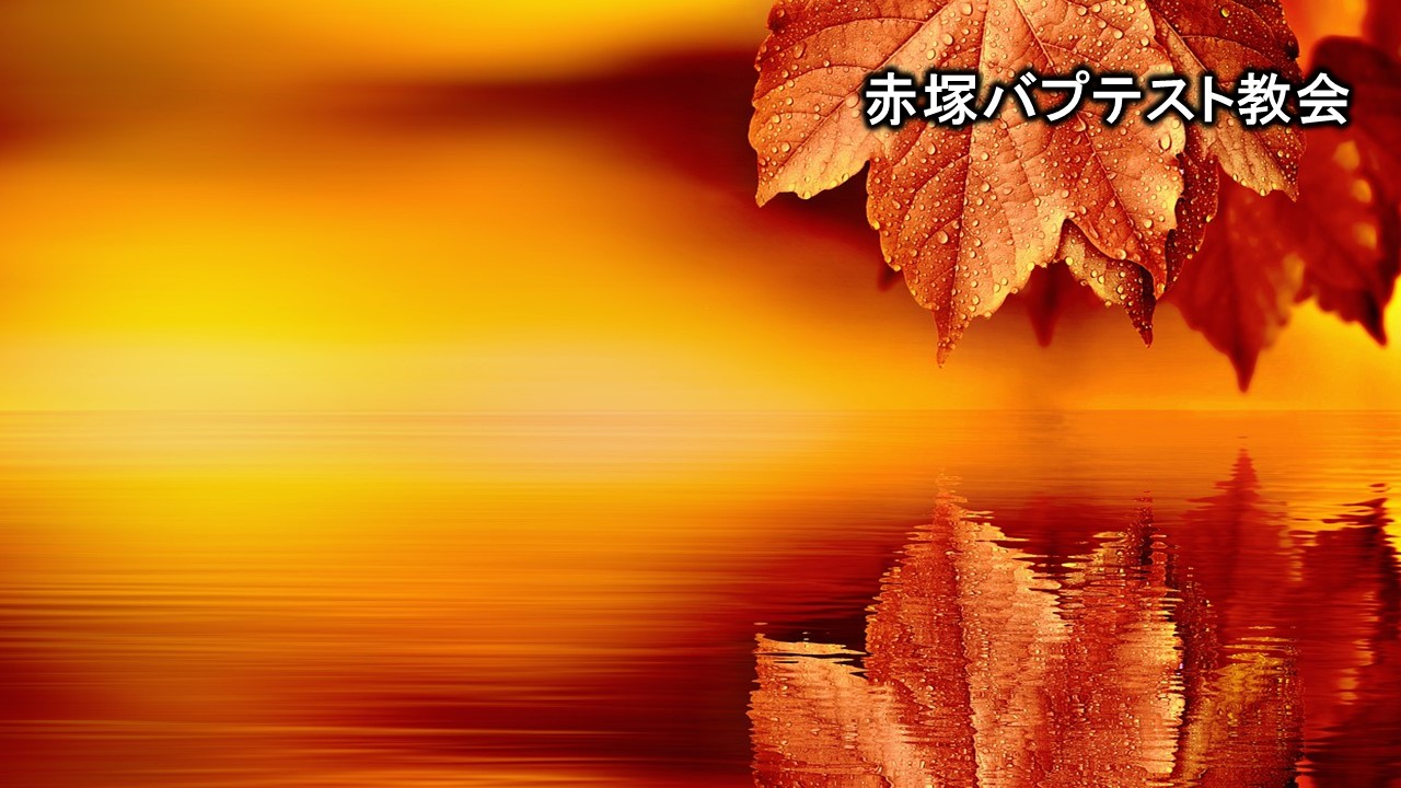 秋　光　紅葉　水面　映り込み