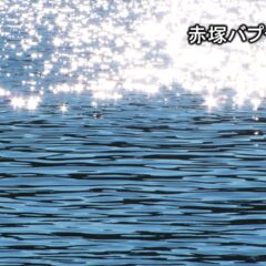 神の光　照らされる　私の人生を導かれる主