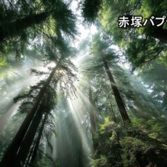 メシア　主　信仰　イエス・キリスト