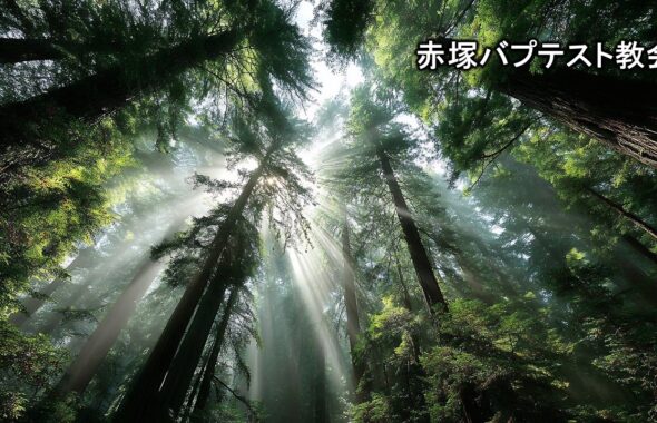 メシア　主　信仰　イエス・キリスト