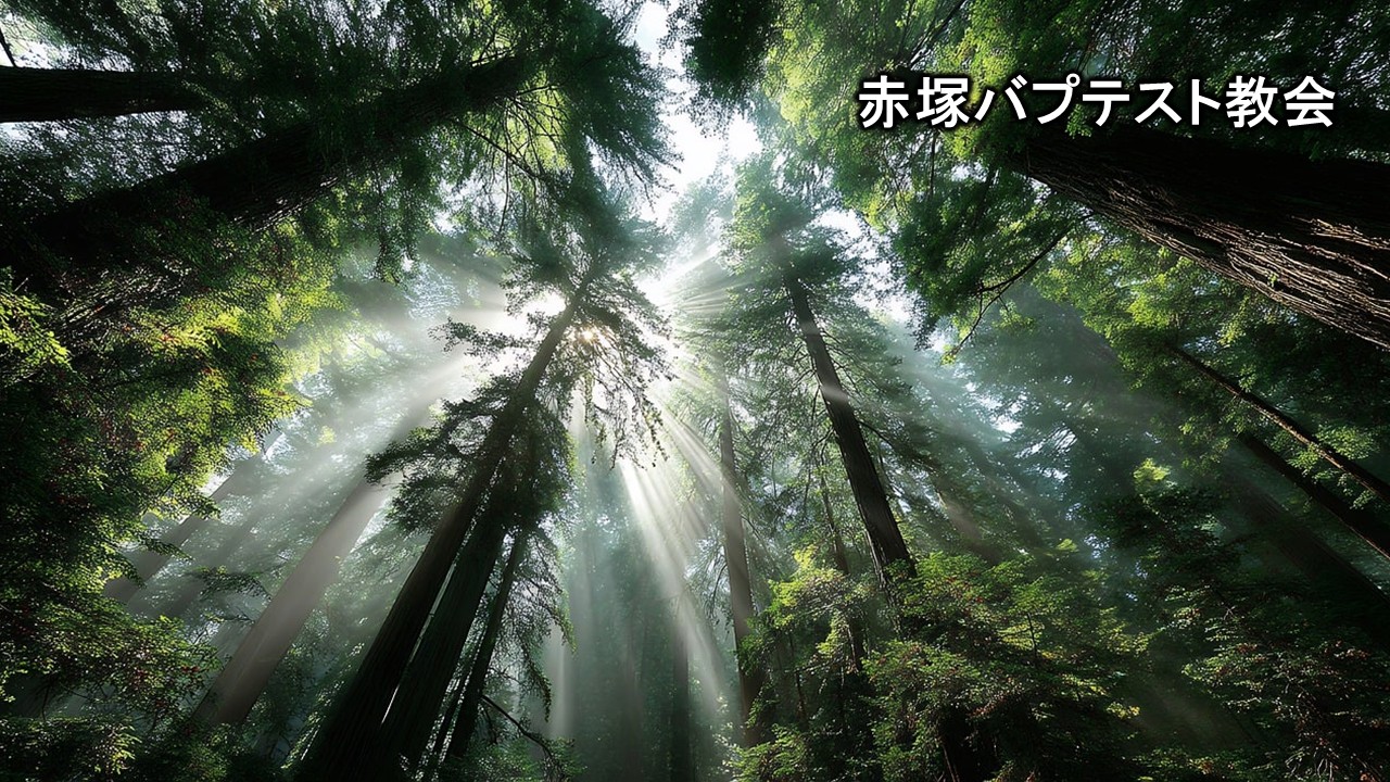 メシア　主　信仰　イエス・キリスト